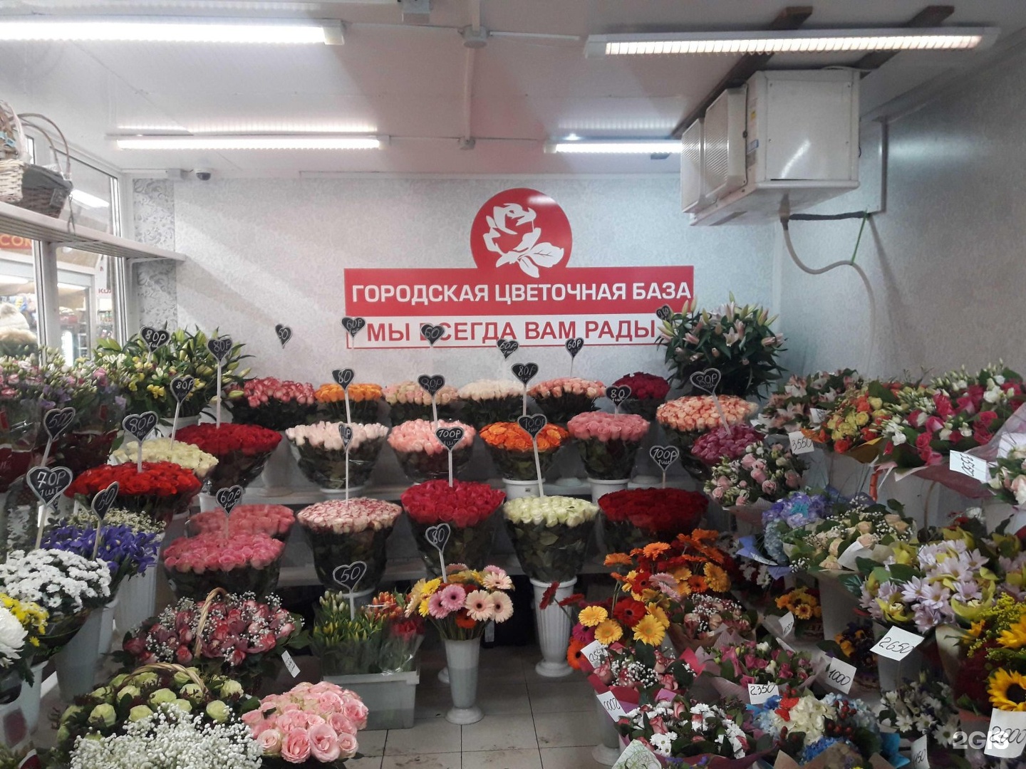 Цветы оптовая база спб московское шоссе, цветов