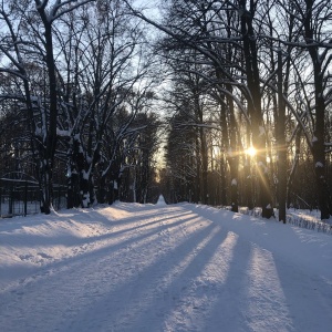 Фото от владельца Сокольники, парк культуры и отдыха