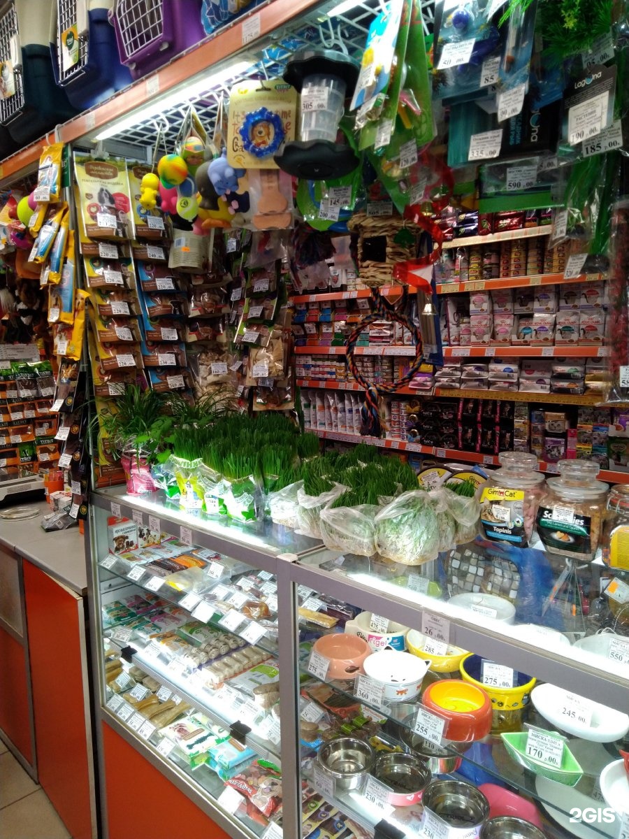 Зоомагазин на первомайской. Самый большой зоомагазин в москве. зоомагазин щелково. тц щелковский зоомагазин. магазин барбос на семеновской тел.