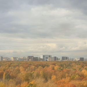 Фото от владельца Сокольники, парк культуры и отдыха