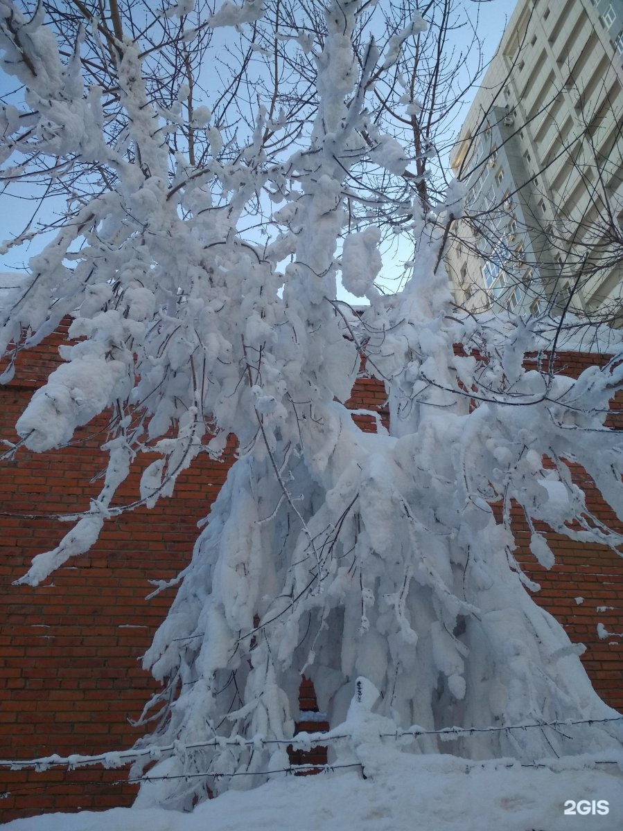 Ул муравьева амурского 36