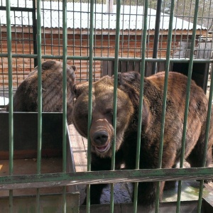 Фото от владельца Этнографический музей народов Забайкалья