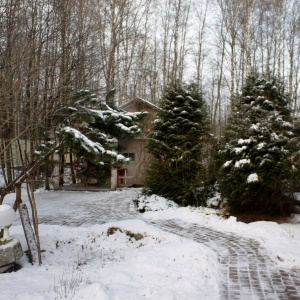 Фото от владельца Приютино, пансионат для пожилых людей