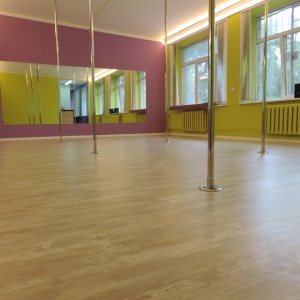 Фото от владельца Birdy Pole Dance Studio, студия танцев