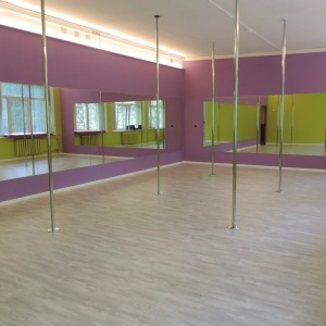 Фото от владельца Birdy Pole Dance Studio, студия танцев