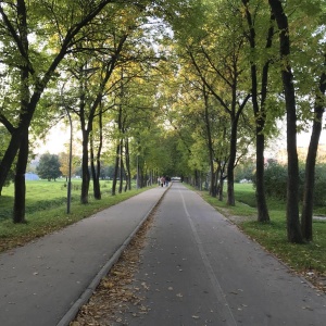 Фото от владельца Муринский парк культуры и отдыха