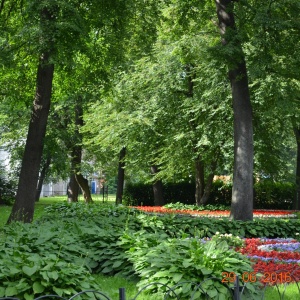 Фото от владельца Центральный парк культуры и отдыха им. С.М. Кирова