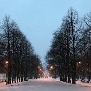 Фото от владельца Московский парк Победы