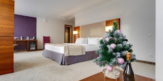 Зеленогорск: Отель G9