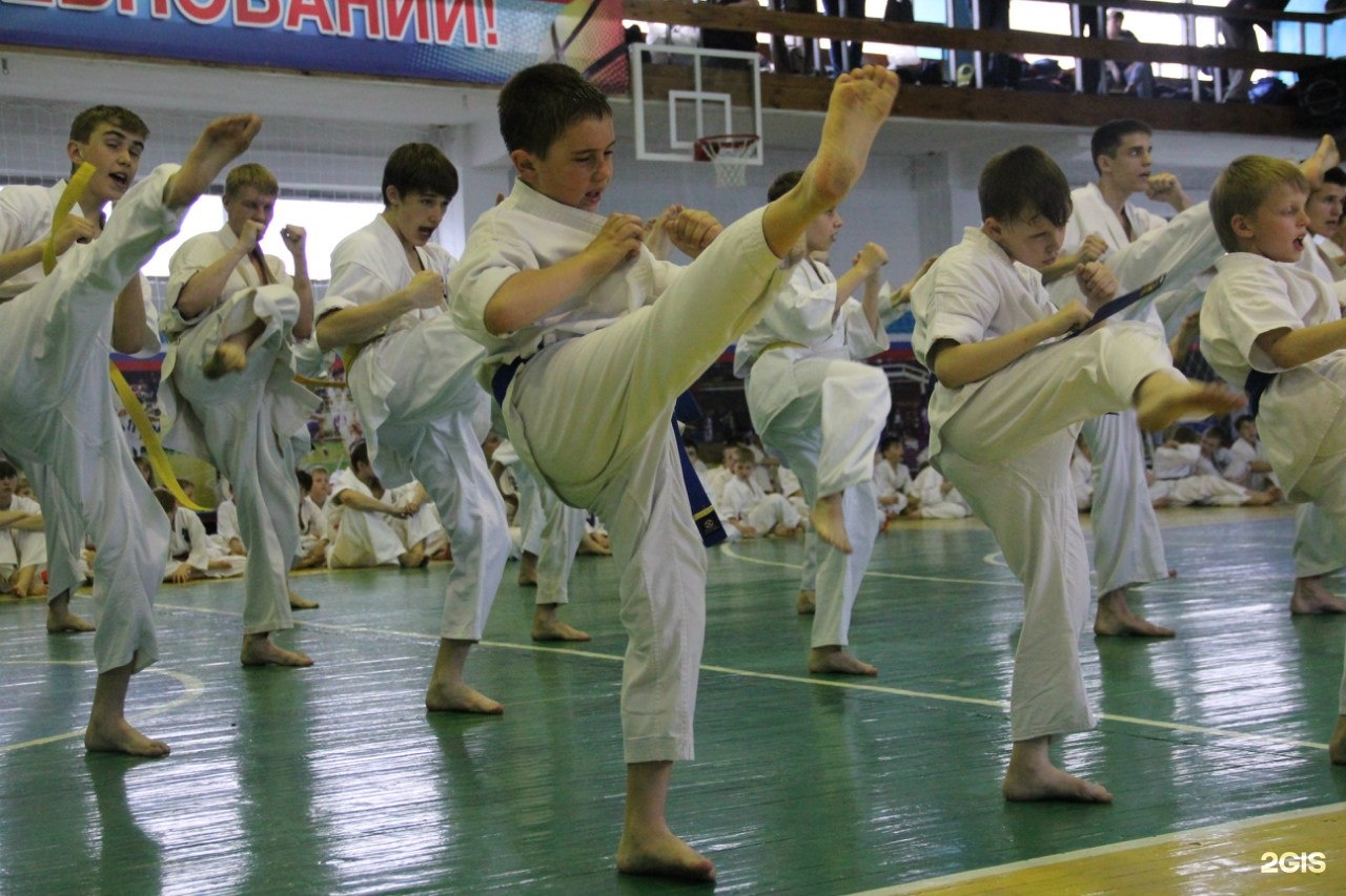 Каратэ барнаул. Каратэ Барнаул Скив. Рубин Барнаул каратэ. Байкальская лига каратэ. СПК гора каратэ Барнаул.