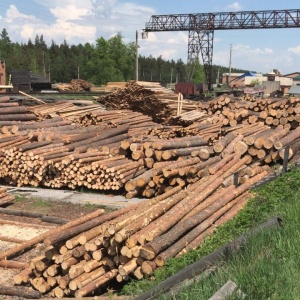 Фото от владельца Ларичихинский леспромхоз, оптово-розничная компания