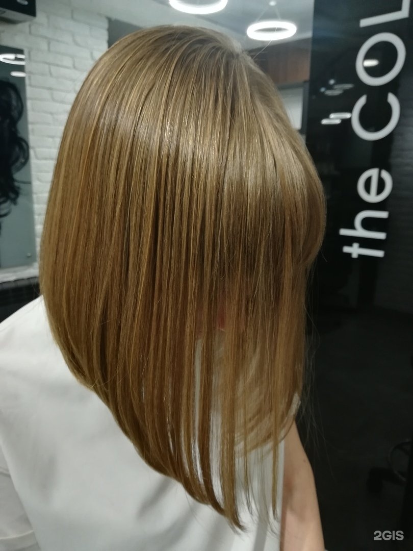 проженесси ижевск