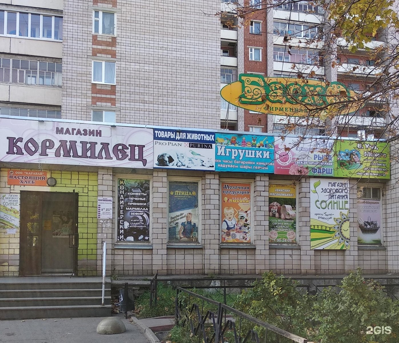 Клубная 61 почта режим работы. Зоомагазин Ижевск. Зоомагазин Ижевск с животными. Клубная 61. Зоомагазин Ижевск каталог.