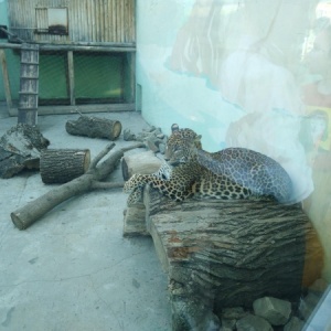 Фото от владельца Пензенский зоопарк, МАУ