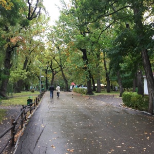 Фото от владельца Городской парк