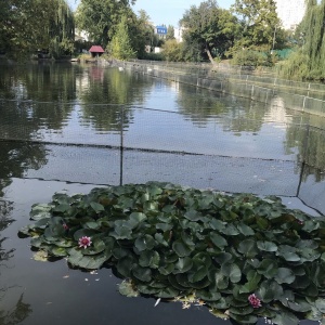 Фото от владельца Городской парк