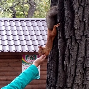 Фото от владельца Городской парк