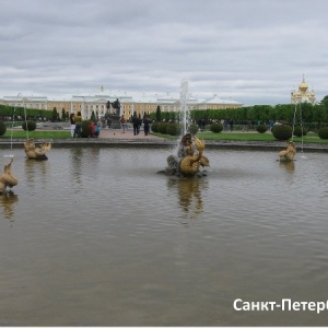 Фото от владельца Респект Тур, туристическое агентство