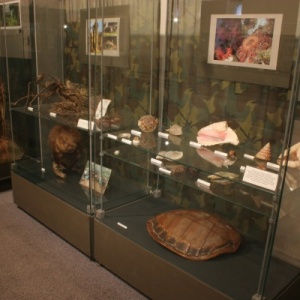 Фото от владельца Музей природы и охраны окружающей среды