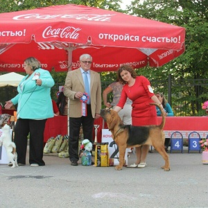 Фото от владельца Догги-центр, клуб любителей собак