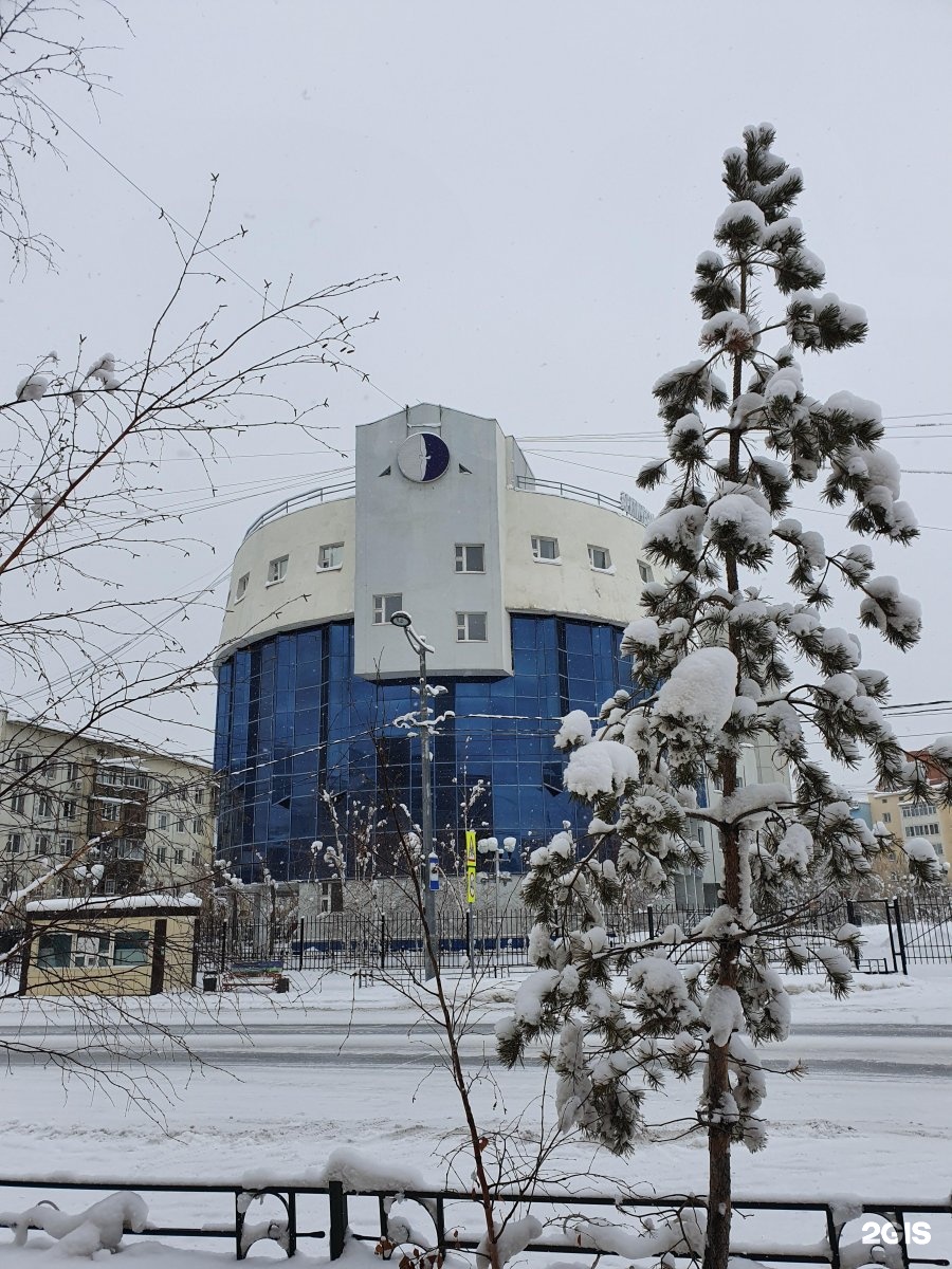 Арктический государственный институт культуры и искусств Якутск. Оркестр арктического института культуры и искусств Якутии. Арктический государственный институт культуры и искусств общежитие. Орджоникидзе 4 Якутск.