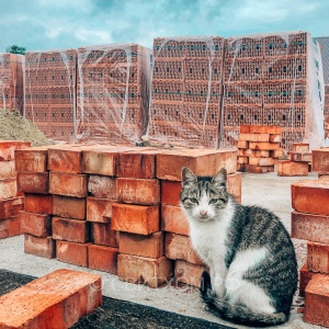 Фото от владельца СвитХом, ООО, оптовая компания