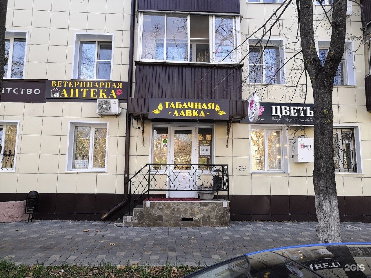 Dantist, dental clinics, Russia, Lipetsk, Gagarin's street, 31 - Yandex.Maps