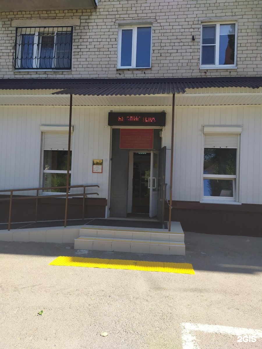 красноярская краевая специальная библиотека. приморская краевая библиотека для слепых эмблема. хабаровская краевая библиотека для слепых здание. артем библиотека. 1.