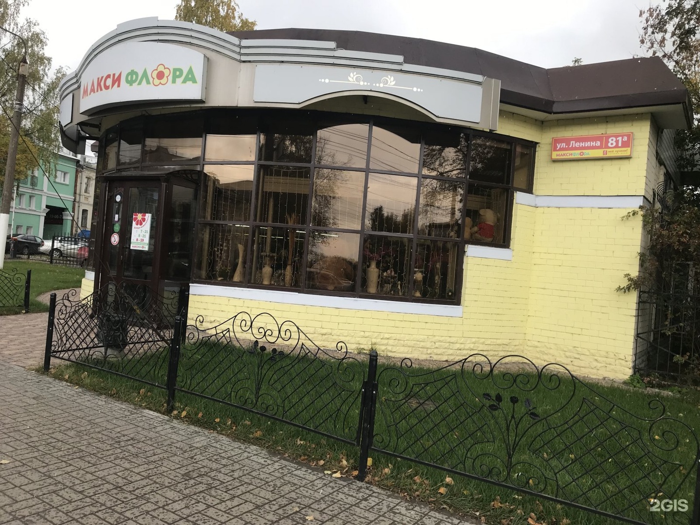 Максифлора киров