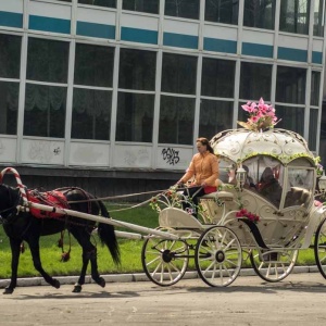 Фото от владельца Золотая подкова, конный клуб