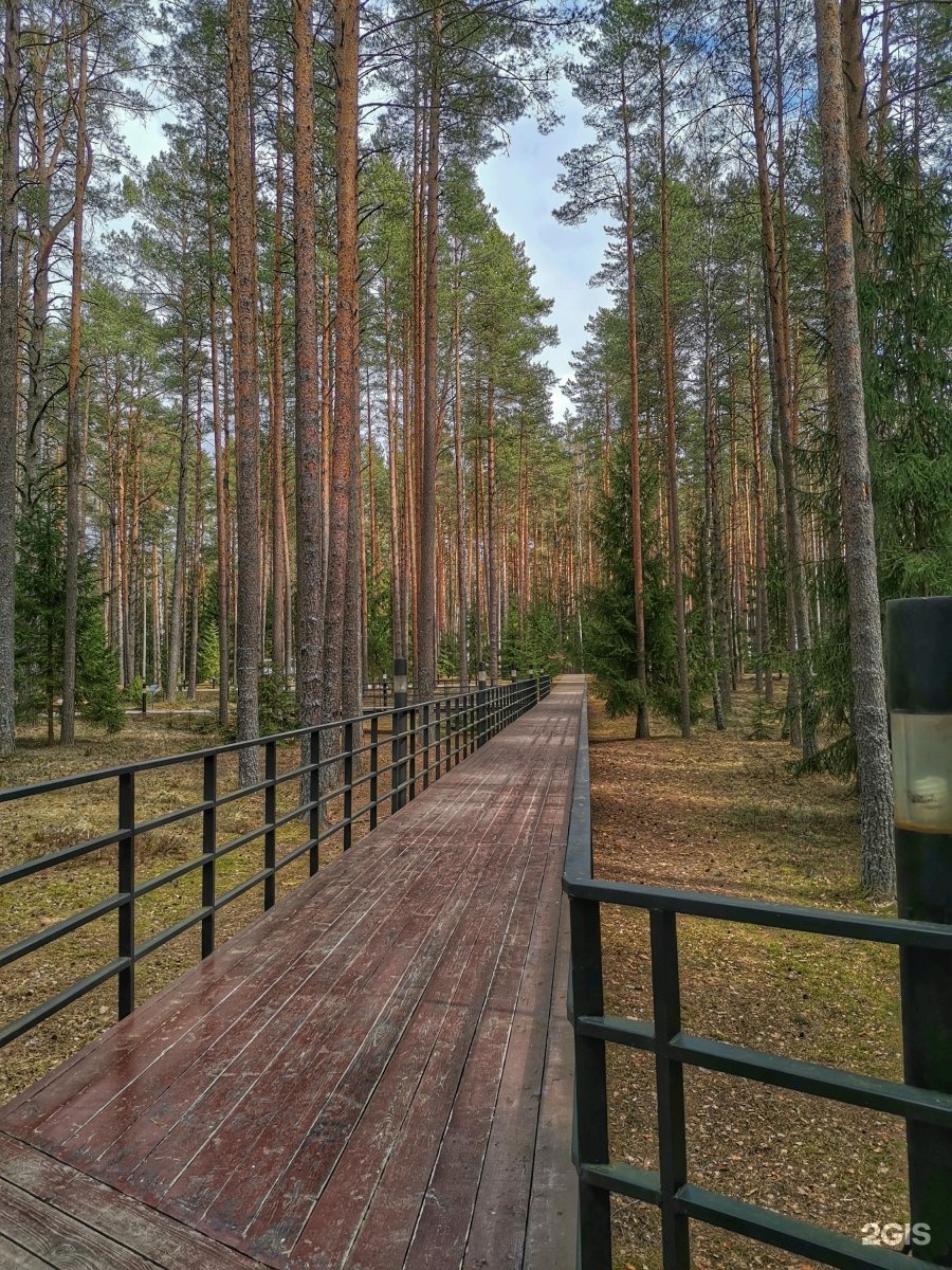 Катынь смоленск. Катынь мемориальный комплекс Смоленск. Катынь Смоленская область мемориал. Катынский лес.