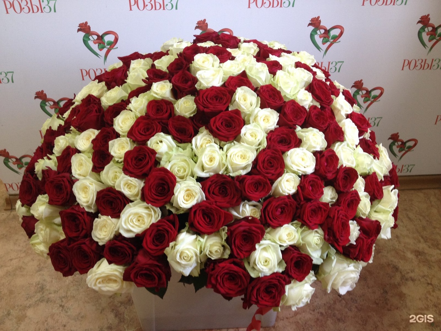 Купить розы в иваново. 37 Роз. Розы Иваново. 37 Роз фото.