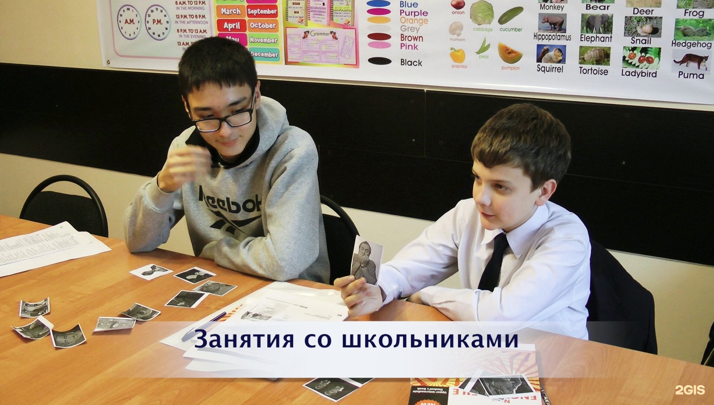 Образование school 72