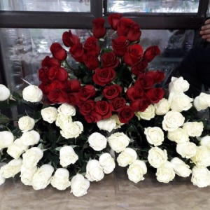 Фото от владельца Жулдыз, сеть салонов цветов