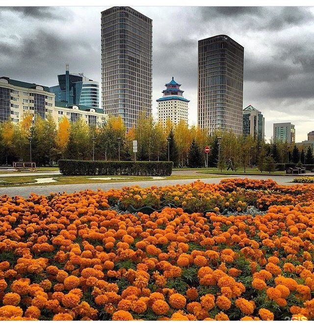 Отель Пекин Астана. Beijing Palace Soluxe Hotel Astana.