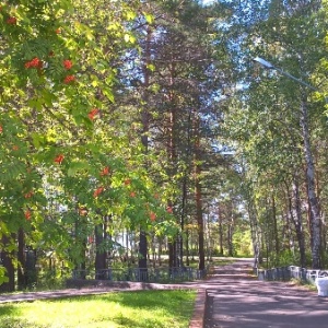 Фото от владельца Бузим, загородный клуб