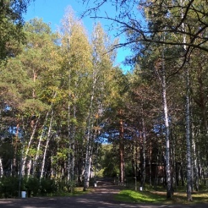 Фото от владельца Бузим, загородный клуб