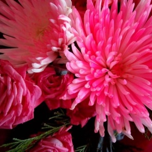 Фото от владельца Цветы Голландии, салон цветов