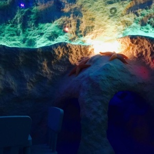 Фото от владельца Морская звезда, соляная пещера