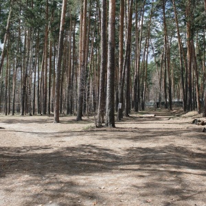 Фото от владельца Воины света, клуб