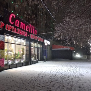 Фото от владельца Camellia, центр цветов