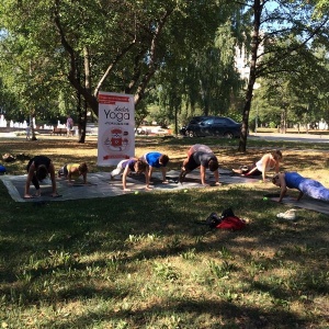 Фото от владельца Doctor Yoga, студия йоги