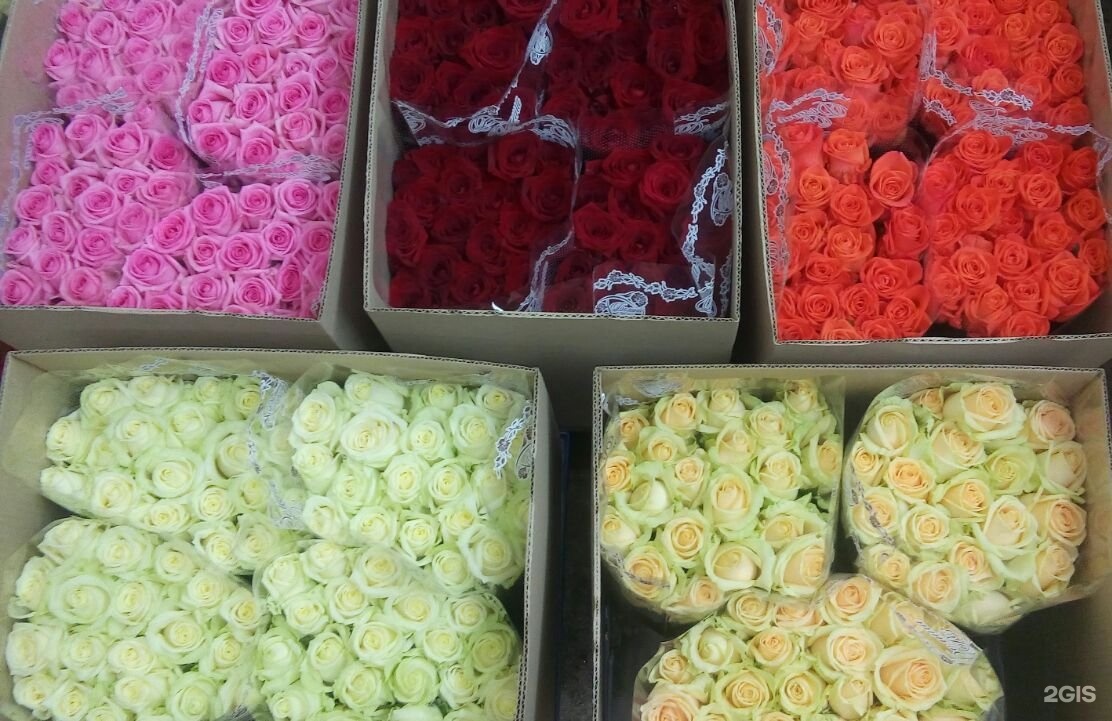 Купить розы от производителя. Оптовый склад цветов. Оптовый цветочный склад. Оптовые базы цветов. Поставщики цветов.