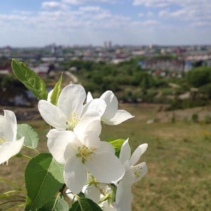 Фото от владельца Уктус, центр спортивных развлечений