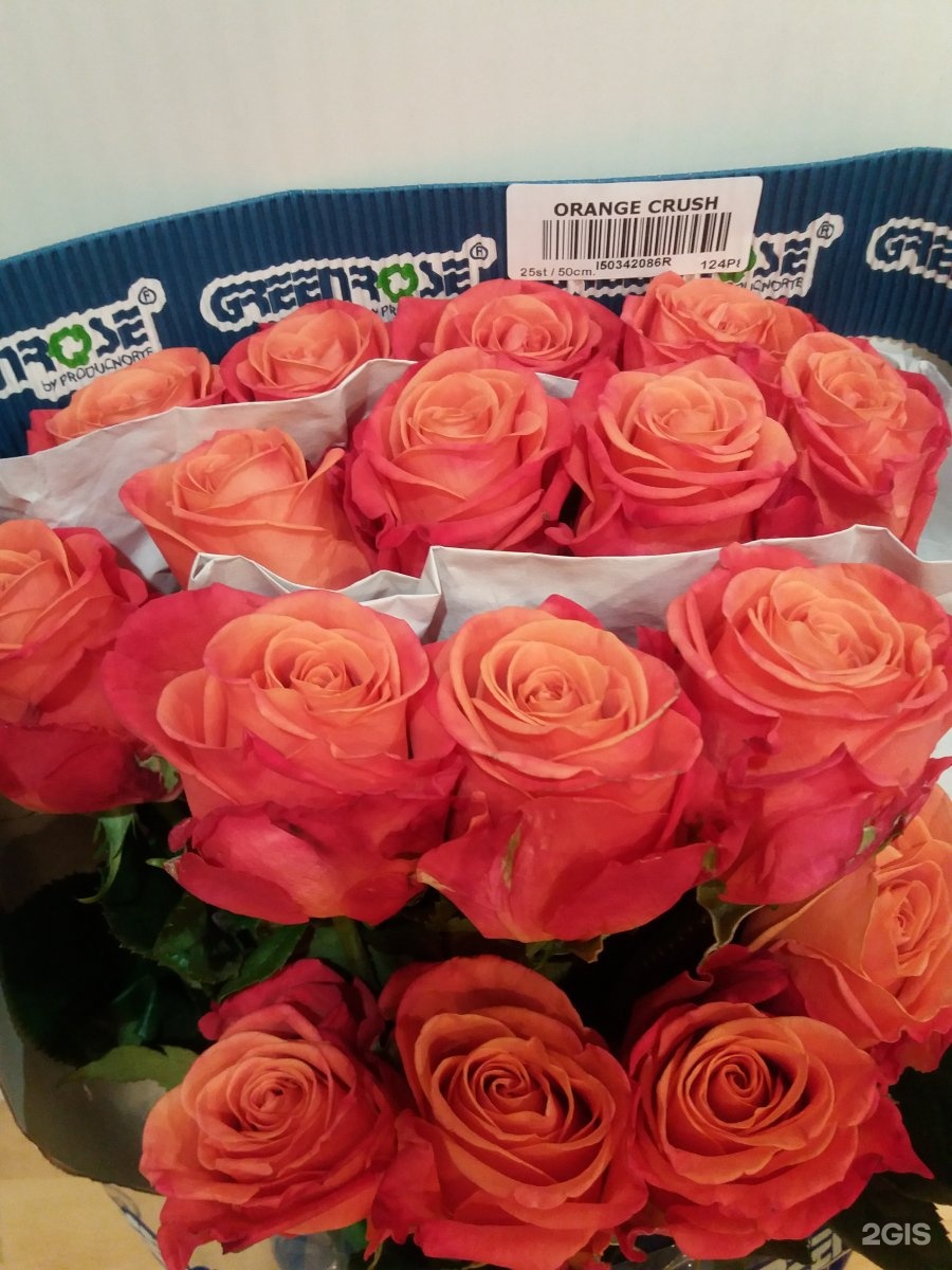 Orange Crush роза Эквадор