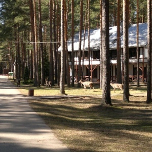 Фото от владельца Плесков, загородный отель