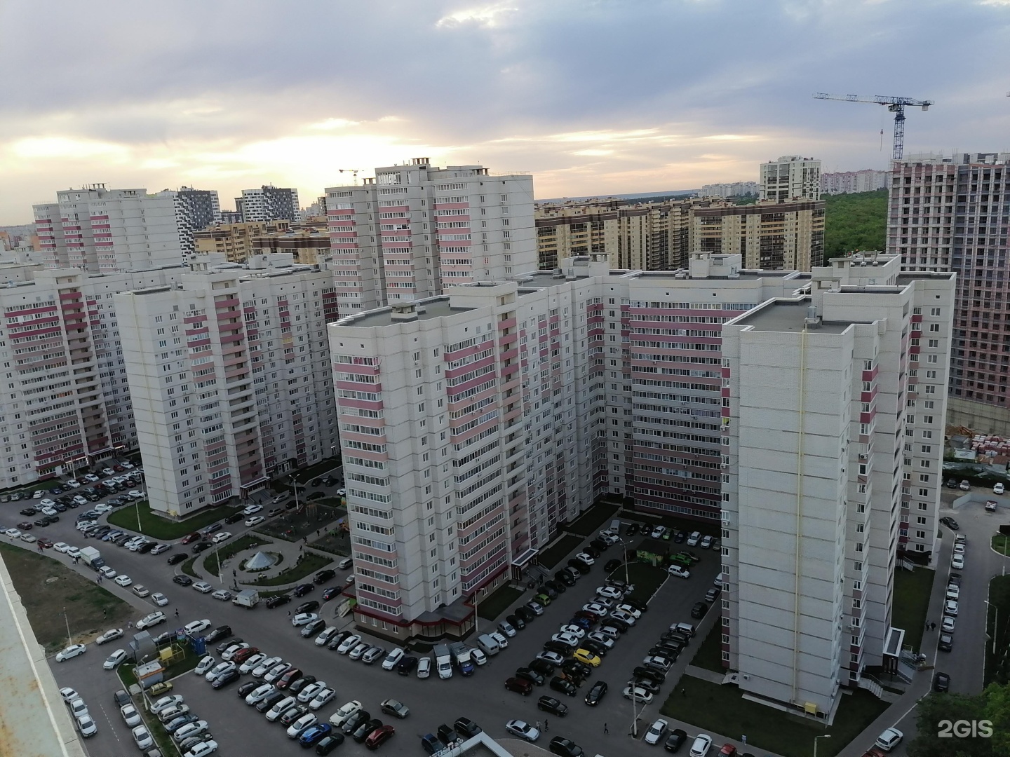 Фото кот олимпийский бульвар