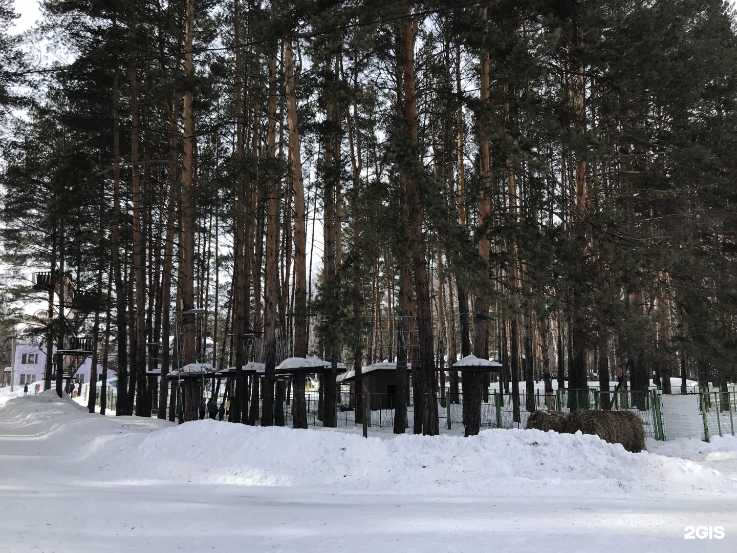 Лесная сказка ашмарино официальный сайт