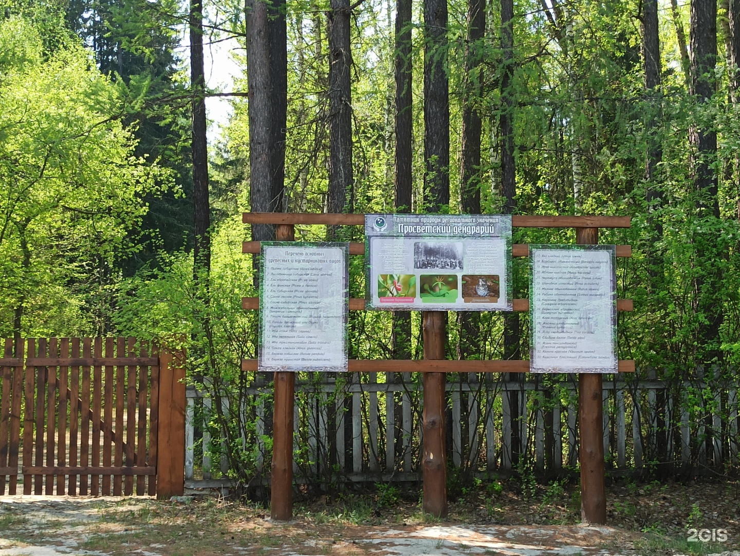 Погода старый просвет курганская