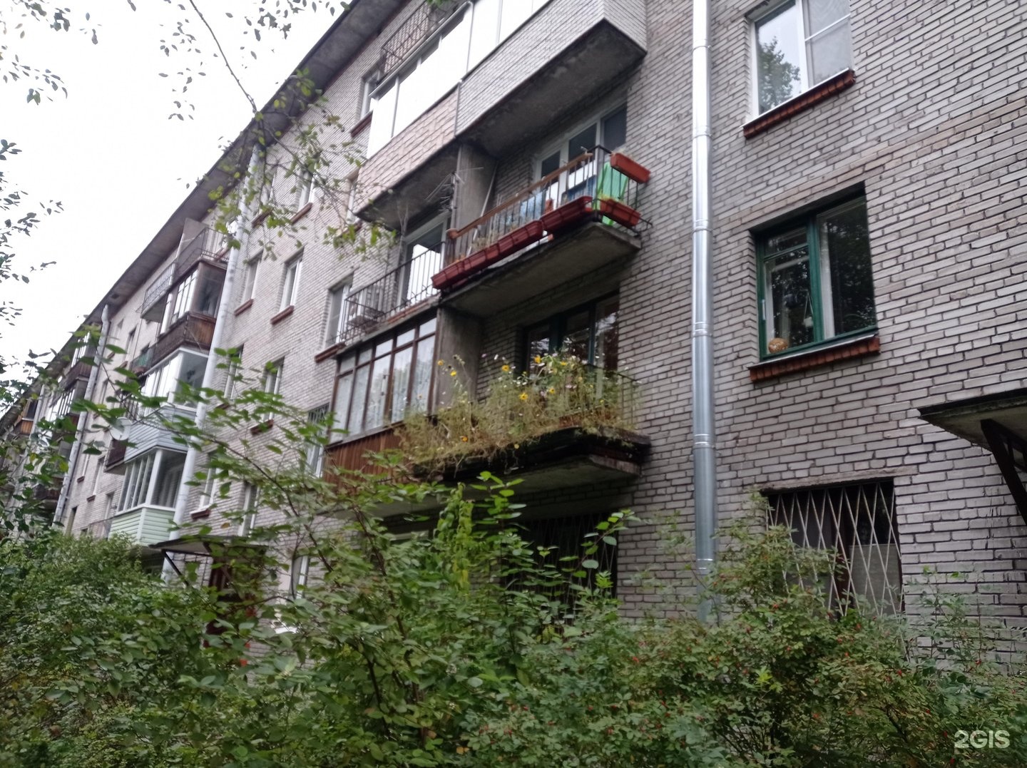 санкт-петербург проспект тореза 2/40. спб проспект тореза 40 к1. тореза 94 к 3. тореза 40 к 1. тореза 40 спб.